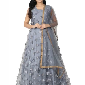 Embroidered Net Flared Gown
