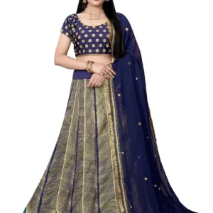 Embroidered Flared Lehenga
