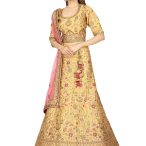Embroidered Flared Lehenga
